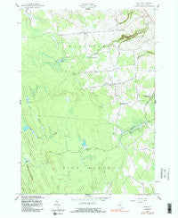 Page New York Historical topographic map, 1:24000 scale, 7.5 X 7.5 Minute, Year 1943