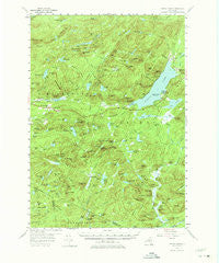Piseco Lake New York Historical topographic map, 1:62500 scale, 15 X 15 Minute, Year 1954