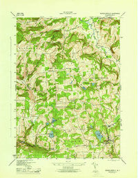 Rensselaerville New York Historical topographic map, 1:31680 scale, 7.5 X 7.5 Minute, Year 1946