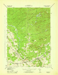 Salisbury New York Historical topographic map, 1:31680 scale, 7.5 X 7.5 Minute, Year 1946