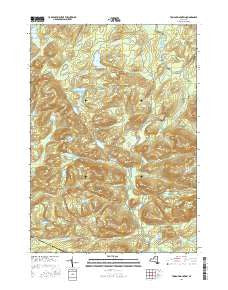 Tomany Mountain New York Current topographic map, 1:24000 scale, 7.5 X 7.5 Minute, Year 2016
