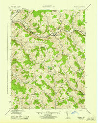 Treadwell New York Historical topographic map, 1:31680 scale, 7.5 X 7.5 Minute, Year 1945