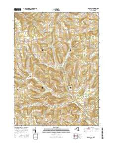 Troupsburg New York Current topographic map, 1:24000 scale, 7.5 X 7.5 Minute, Year 2016