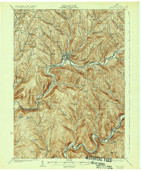 Walton New York Historical topographic map, 1:62500 scale, 15 X 15 Minute, Year 1925