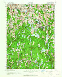 White Lake New York Historical topographic map, 1:62500 scale, 15 X 15 Minute, Year 1943