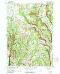 Willseyville New York Historical topographic map, 1:24000 scale, 7.5 X 7.5 Minute, Year 1969