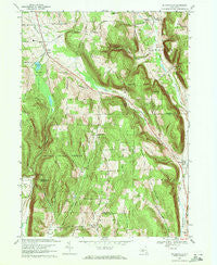 Willseyville New York Historical topographic map, 1:24000 scale, 7.5 X 7.5 Minute, Year 1969