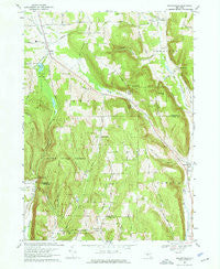 Willseyville New York Historical topographic map, 1:24000 scale, 7.5 X 7.5 Minute, Year 1969