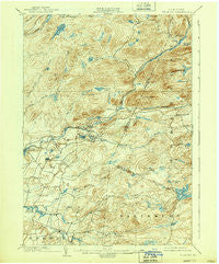 Wilmurt New York Historical topographic map, 1:62500 scale, 15 X 15 Minute, Year 1902