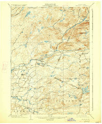 Wilmurt New York Historical topographic map, 1:62500 scale, 15 X 15 Minute, Year 1902