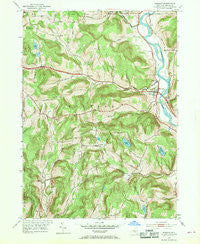 Windsor New York Historical topographic map, 1:24000 scale, 7.5 X 7.5 Minute, Year 1952