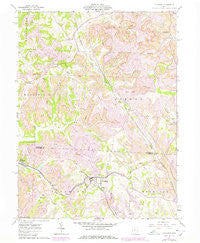 Flushing Ohio Historical topographic map, 1:24000 scale, 7.5 X 7.5 Minute, Year 1961