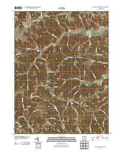 Spring Mountain Ohio Historical topographic map, 1:24000 scale, 7.5 X 7.5 Minute, Year 2010