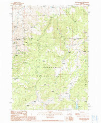 Alsup Mountain Oregon Historical topographic map, 1:24000 scale, 7.5 X 7.5 Minute, Year 1990