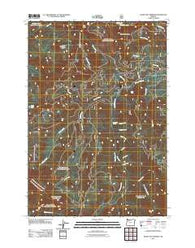 Bagby Hot Springs Oregon Historical topographic map, 1:24000 scale, 7.5 X 7.5 Minute, Year 2011