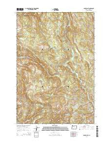 Baker Point Oregon Current topographic map, 1:24000 scale, 7.5 X 7.5 Minute, Year 2014