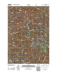 Baldy Mountain Oregon Historical topographic map, 1:24000 scale, 7.5 X 7.5 Minute, Year 2011