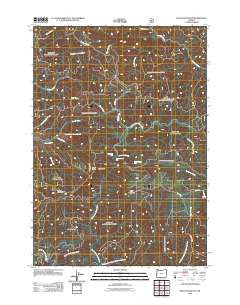 Baldy Mountain Oregon Historical topographic map, 1:24000 scale, 7.5 X 7.5 Minute, Year 2011