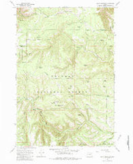Bally Mountain Oregon Historical topographic map, 1:24000 scale, 7.5 X 7.5 Minute, Year 1967