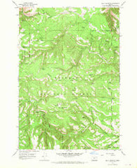 Bally Mountain Oregon Historical topographic map, 1:24000 scale, 7.5 X 7.5 Minute, Year 1967