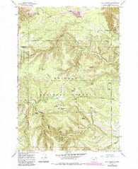 Bally Mountain Oregon Historical topographic map, 1:24000 scale, 7.5 X 7.5 Minute, Year 1967