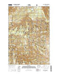 Bally Mountain Oregon Current topographic map, 1:24000 scale, 7.5 X 7.5 Minute, Year 2014
