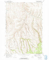 Balm Canyon Oregon Historical topographic map, 1:24000 scale, 7.5 X 7.5 Minute, Year 1969
