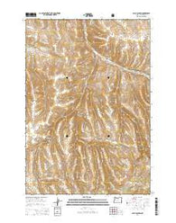 Balm Canyon Oregon Current topographic map, 1:24000 scale, 7.5 X 7.5 Minute, Year 2014