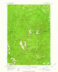 Battle Ax Oregon Historical topographic map, 1:62500 scale, 15 X 15 Minute, Year 1956