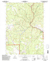 Bear Canyon Butte Oregon Historical topographic map, 1:24000 scale, 7.5 X 7.5 Minute, Year 1992