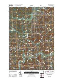 Beaver Oregon Historical topographic map, 1:24000 scale, 7.5 X 7.5 Minute, Year 2011