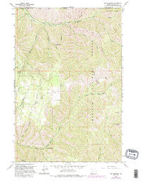 Big Meadows Oregon Historical topographic map, 1:24000 scale, 7.5 X 7.5 Minute, Year 1963