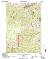 Big Meadows Oregon Historical topographic map, 1:24000 scale, 7.5 X 7.5 Minute, Year 1995