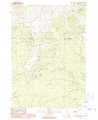 Big Mowich Mountain Oregon Historical topographic map, 1:24000 scale, 7.5 X 7.5 Minute, Year 1990