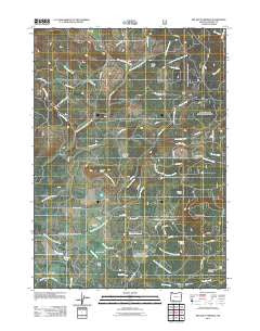 Big Butte Springs Oregon Historical topographic map, 1:24000 scale, 7.5 X 7.5 Minute, Year 2011