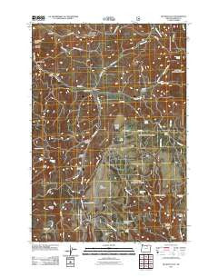 Big Rock Flat Oregon Historical topographic map, 1:24000 scale, 7.5 X 7.5 Minute, Year 2011