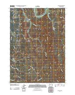 Bill Peak Oregon Historical topographic map, 1:24000 scale, 7.5 X 7.5 Minute, Year 2011