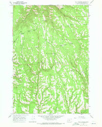 Billy Meadows Oregon Historical topographic map, 1:24000 scale, 7.5 X 7.5 Minute, Year 1967