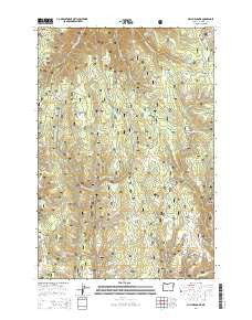 Billy Meadows Oregon Current topographic map, 1:24000 scale, 7.5 X 7.5 Minute, Year 2014