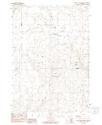 Birch Creek Meadow Oregon Historical topographic map, 1:24000 scale, 7.5 X 7.5 Minute, Year 1988