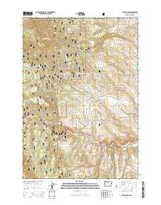 Blue Canyon Oregon Current topographic map, 1:24000 scale, 7.5 X 7.5 Minute, Year 2014