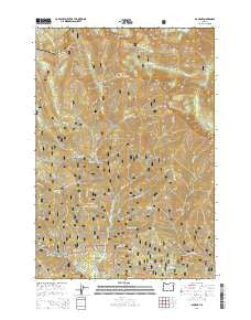 Bourne Oregon Current topographic map, 1:24000 scale, 7.5 X 7.5 Minute, Year 2014