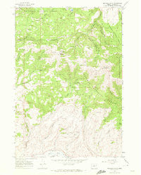 Brannan Gulch Oregon Historical topographic map, 1:24000 scale, 7.5 X 7.5 Minute, Year 1967