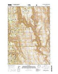 Buck Trough Spring Oregon Current topographic map, 1:24000 scale, 7.5 X 7.5 Minute, Year 2014