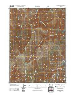 Buckskin Peak Oregon Historical topographic map, 1:24000 scale, 7.5 X 7.5 Minute, Year 2011