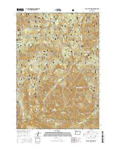 Bull of the Woods Oregon Current topographic map, 1:24000 scale, 7.5 X 7.5 Minute, Year 2014