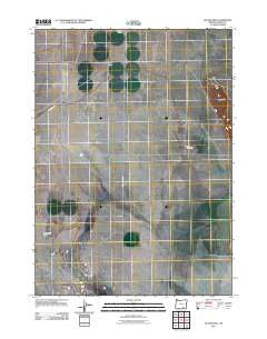 Butler Hill Oregon Historical topographic map, 1:24000 scale, 7.5 X 7.5 Minute, Year 2011