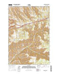 Cabbage Hill Oregon Current topographic map, 1:24000 scale, 7.5 X 7.5 Minute, Year 2014