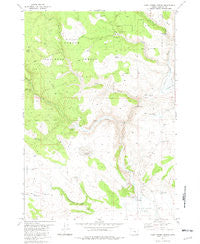 Camp Currey Spring Oregon Historical topographic map, 1:24000 scale, 7.5 X 7.5 Minute, Year 1981