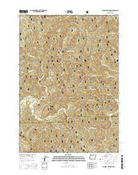 Cannibal Mountain Oregon Current topographic map, 1:24000 scale, 7.5 X 7.5 Minute, Year 2014